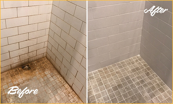Before and After Picture of a Picture Rocks Shower Tile and Grout Cleaned to Eliminate Mold and Stains