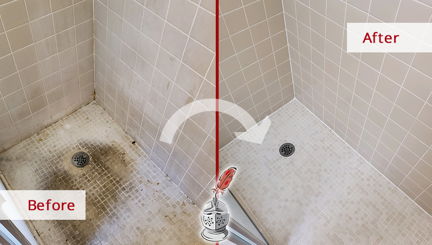 Image of a Shower After a Professional Tile Sealing in Tucson