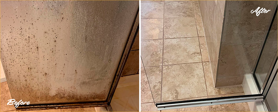 Shower Expertly Restored by Our Professional Tile and Grout Cleaners in Catalina Foothills, AZ