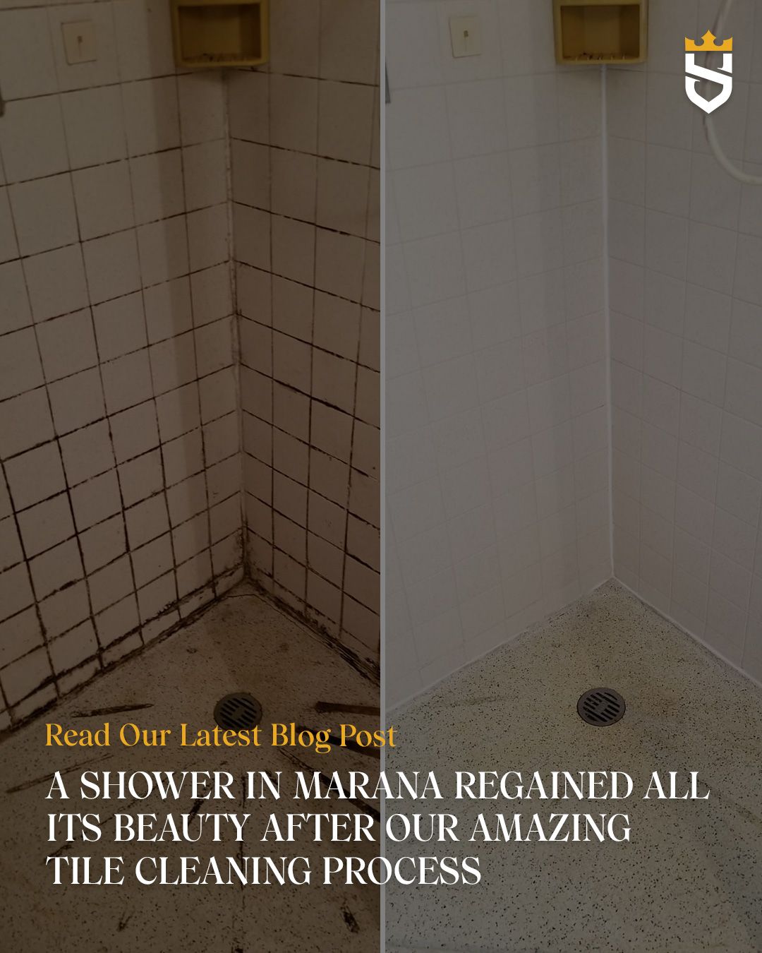 A Shower in Marana Regained All Its Beauty After Our Amazing Tile Cleaning Process